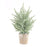 Melrose Frosted Holiday Pine Tree, Paper Pot, Set of 6, Green/Brown
