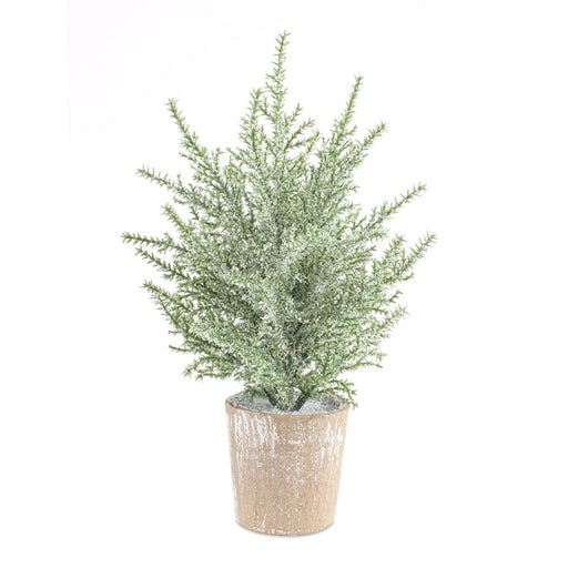 Melrose Frosted Holiday Pine Tree, Paper Pot, Set of 6, Green/Brown