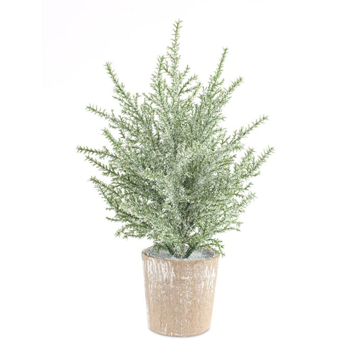 Melrose Frosted Holiday Pine Tree, Paper Pot, Set of 6, Green/Brown
