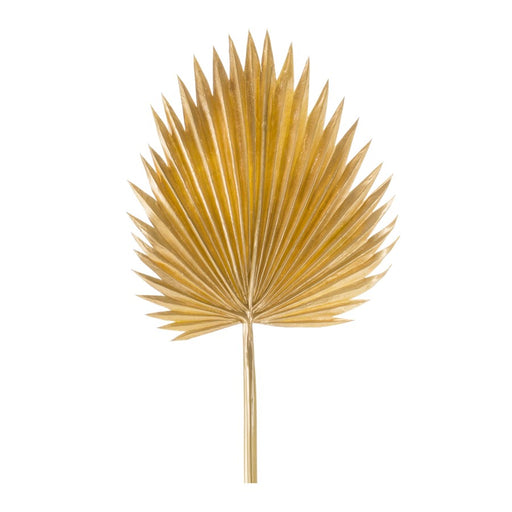 Melrose Natural Gold Fan Palm Leaf, Set of 6, Yellow/Brown