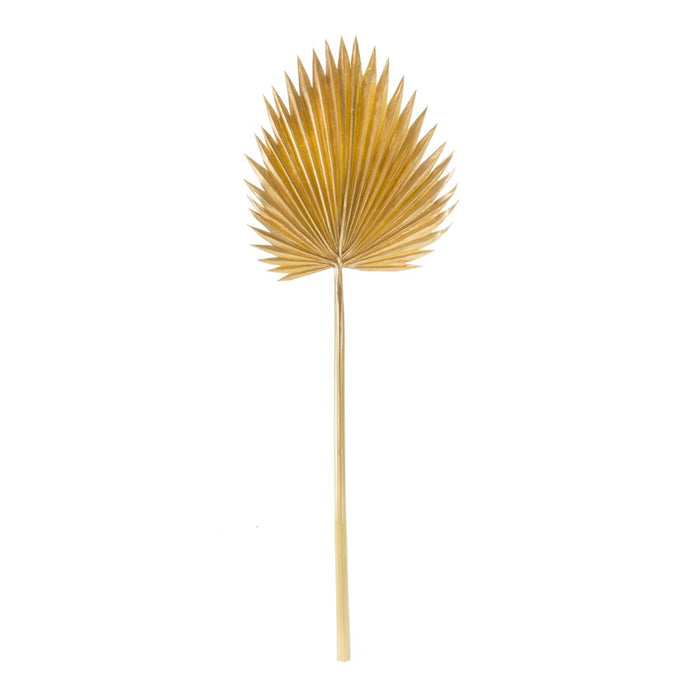 Melrose Natural Gold Fan Palm Leaf, Set of 6, Yellow/Brown