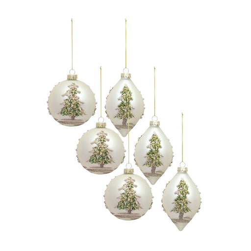 Melrose Painted Snowy Pine Tree Ball Ornament, Set of 6, Green/Gold/Si - 83529DS