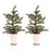 Melrose Mini Pine Tree/Ceramic Pot, Set of 2, Green/Red/White