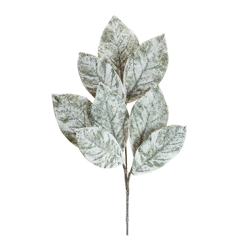 Melrose Frosted Winter Magnolia Leaf Spray, Set of 6, White/Brown