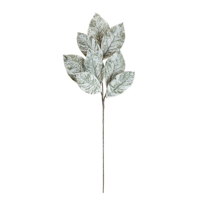Melrose Frosted Winter Magnolia Leaf Spray, Set of 6, White/Brown