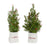 Melrose Mini Pine Tree/Berries, Ceramic Pot, Set of 2, Green/White/Red - 84343DS