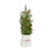 Melrose Mini Pine Tree/Berries, Ceramic Pot, Set of 2, Green/White/Red