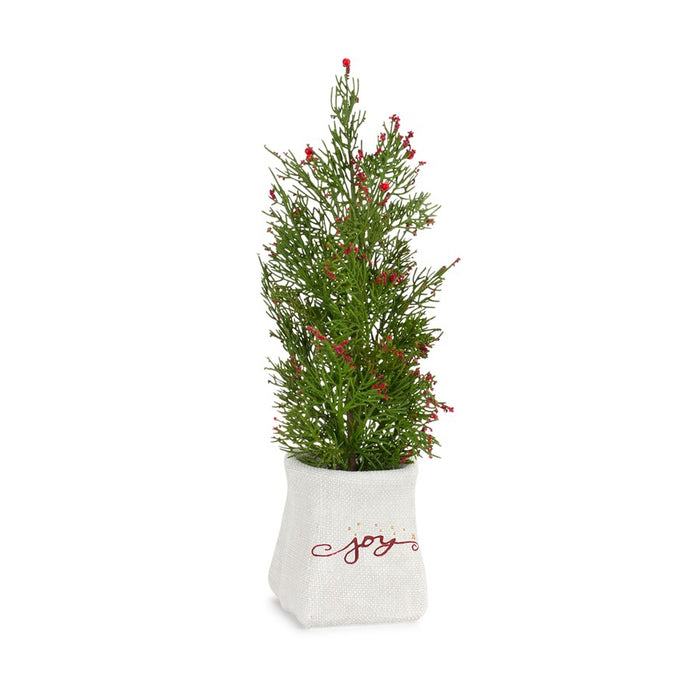 Melrose Mini Pine Tree/Berries, Ceramic Pot, Set of 2, Green/White/Red