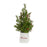 Melrose Mini Pine Tree/Berries, Ceramic Pot, Set of 2, Green/White/Red