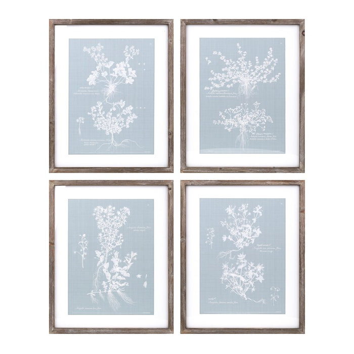 Melrose Wood Framed Encyclopedia Floral Outline Under Glass, Set of 4 - 85202DS