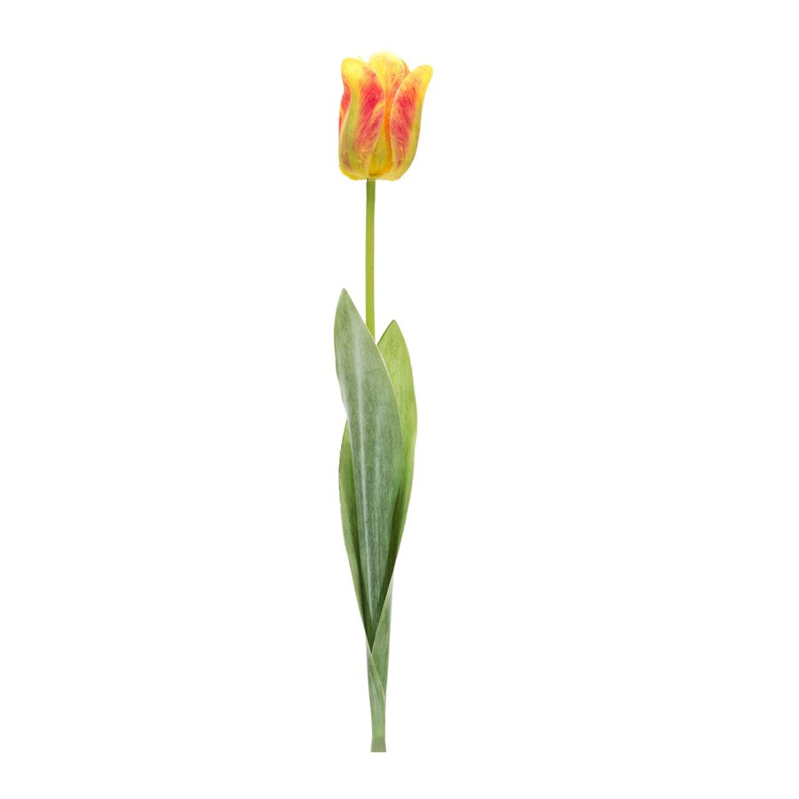 Melrose International Tulip Floral Stem, Set of 6, Green/Yellow - 85230DS