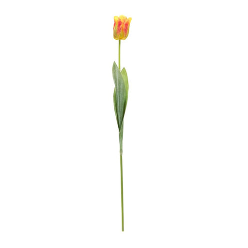 Melrose International Tulip Floral Stem, Set of 6, Green/Yellow