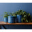 Melrose Blue Etched Terra Cotta Pot Planter, Set of 3, Green