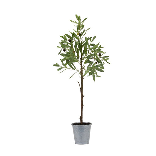 Melrose Olive Leaf Silk Tree/T, Pot 31.5"H, Green/Silver/Brown - 85318DS