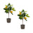 Melrose Int. Lemon Fruit Silk Tree/Pot, Set of 2, Yellow/Green - 85350DS
