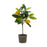 Melrose Int. Lemon Fruit Silk Tree/Pot, Set of 2, Yellow/Green