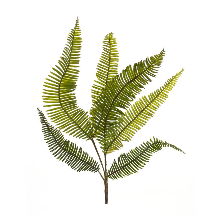 Melrose Varigated Fern 28" Foliage Spray, Set of 6, Green/Brown