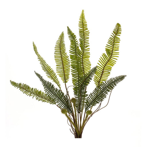 Melrose Varigated Fern Foliage Bush, Set of 6, Green/Brown