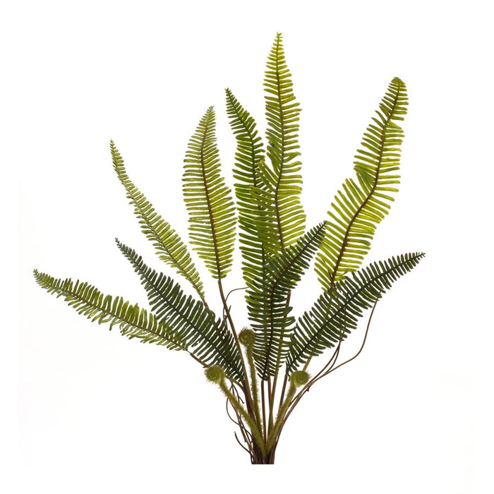 Melrose Varigated Fern Foliage Bush, Set of 6, Green/Brown