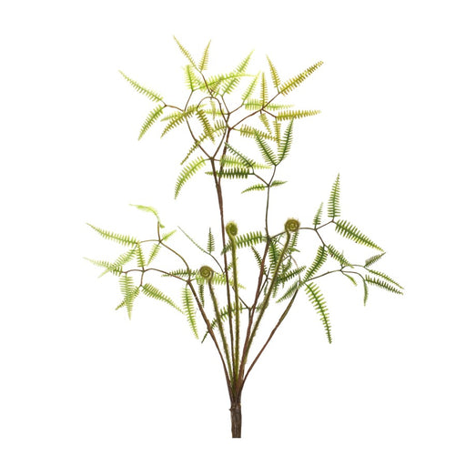 Melrose Mini Fern Foliage Bush/Sprout Accent, Set of 6, Green/Brown