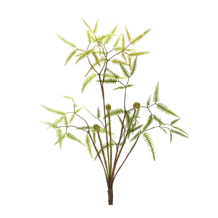 Melrose Mini Fern Foliage Bush/Sprout Accent, Set of 6, Green/Brown