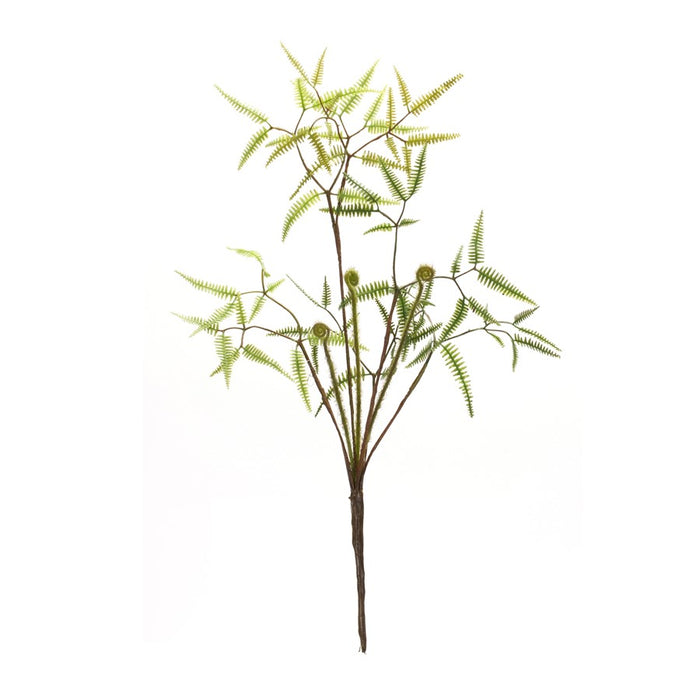 Melrose Mini Fern Foliage Bush/Sprout Accent, Set of 6, Green/Brown