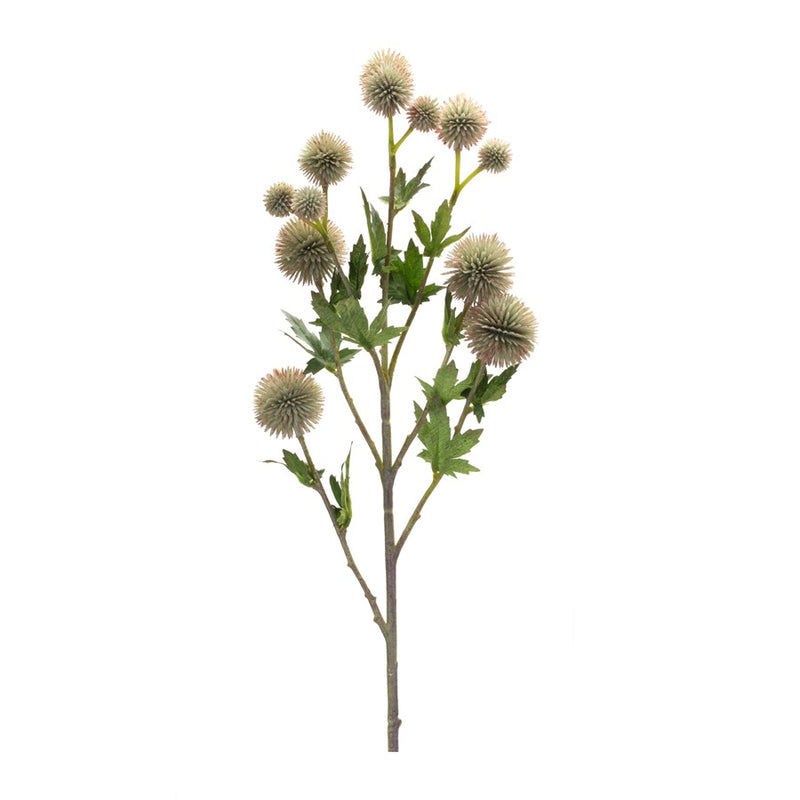 Melrose International Allium Floral Spray, Set of 6, Green/Brown