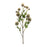 Melrose International Allium Floral Spray, Set of 6, Green/Brown