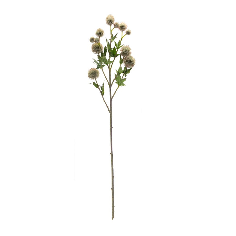 Melrose International Allium Floral Spray, Set of 6, Green/Brown