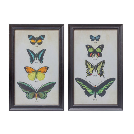 Melrose Framed Encyclopedia Butterfly Print Under Glass, Set of 2, Bei - 85384DS
