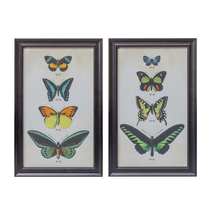 Melrose Framed Encyclopedia Butterfly Print Under Glass, Set of 2, Bei - 85384DS