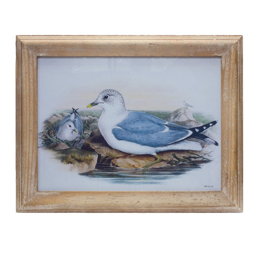 Melrose Framed Sea Bird Print Under Glass 16.5"L, Blue/White/Brown - 85385DS