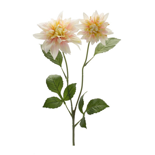 Melrose Blush Pink Dahlia Flower Stem, Set of 6, Pink/Green