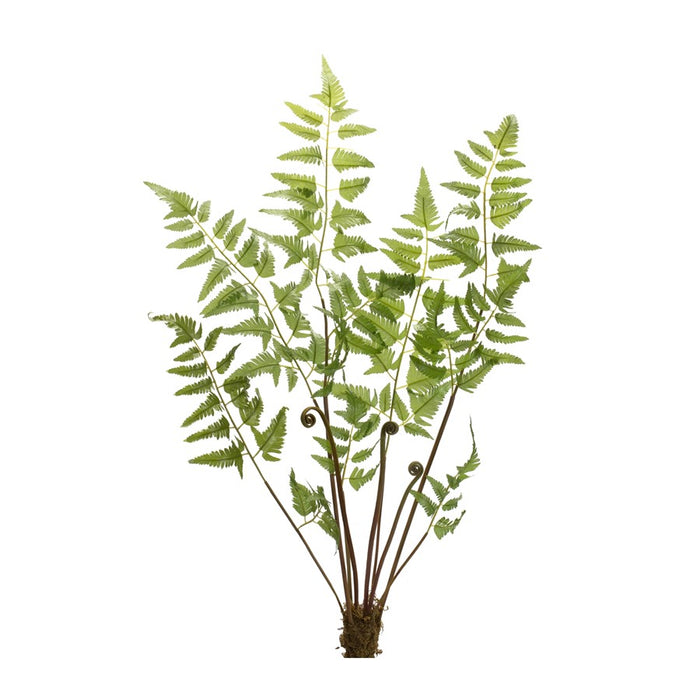 Melrose Varigated Fern Bundle/Sprout Accents, Set of 6, Green/Brown