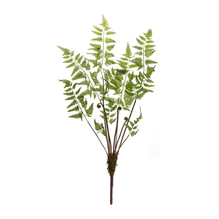 Melrose Varigated Fern Bundle/Sprout Accents, Set of 6, Green/Brown