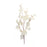 Melrose Ivory Silver Dollar Eucalyptus Leaf Spray, Set of 6, White