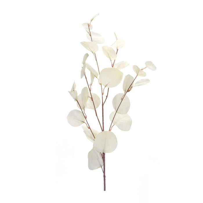 Melrose Ivory Silver Dollar Eucalyptus Leaf Spray, Set of 6, White