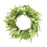 Melrose Mixed Fern Foliage Wreath 27.5"D, Green/White/Brown - 85459DS