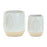 Melrose Two Tone Porcelain Planter/Leaf Design (Set of 2), Beige/Grey