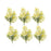 Melrose International Mimosa Leaf Berry Spray, Set of 6, Green/Yellow - 85587DS