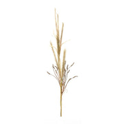 Melrose International Foxtail Grass Spray, Set of 2, Brown - 85639DS
