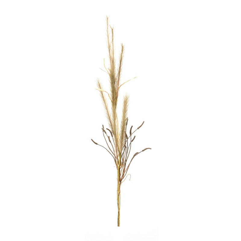 Melrose International Foxtail Grass Spray, Set of 2, Brown - 85639DS