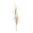 Melrose International Foxtail Grass Spray, Set of 2, Brown - 85639DS