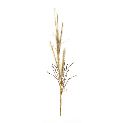 Melrose International Foxtail Grass Spray, Set of 2, Brown - 85639DS
