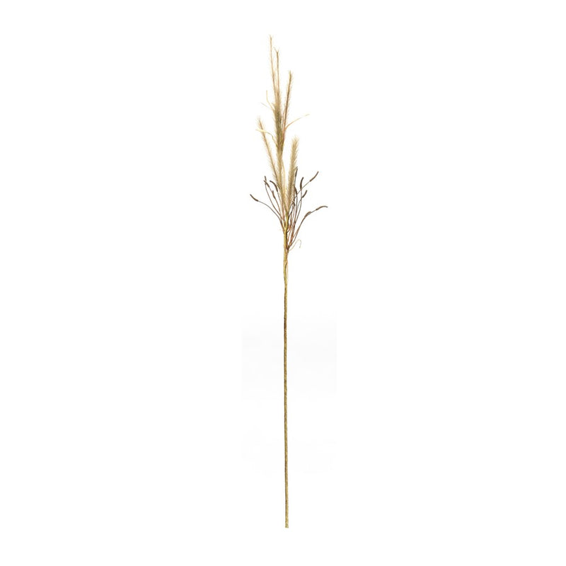 Melrose International Foxtail Grass Spray, Set of 2, Brown