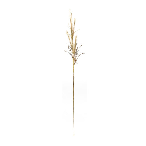 Melrose International Foxtail Grass Spray, Set of 2, Brown
