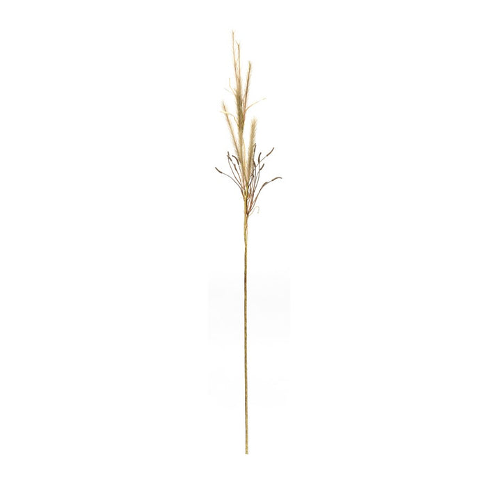 Melrose International Foxtail Grass Spray, Set of 2, Brown