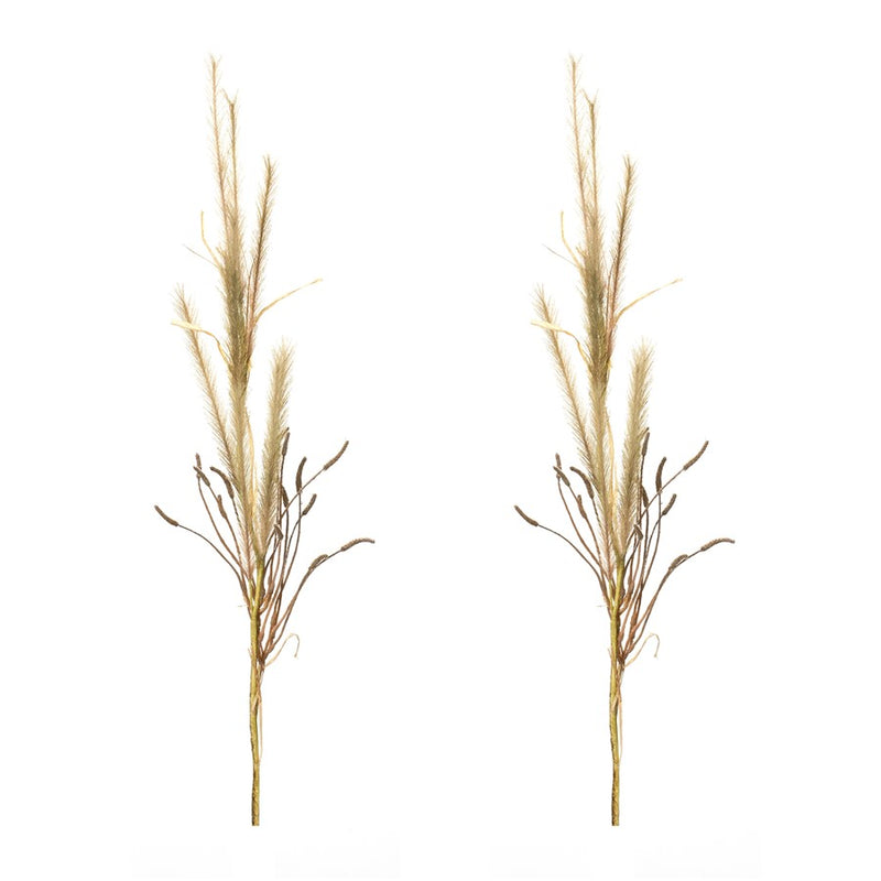 Melrose International Foxtail Grass Spray, Set of 2, Brown