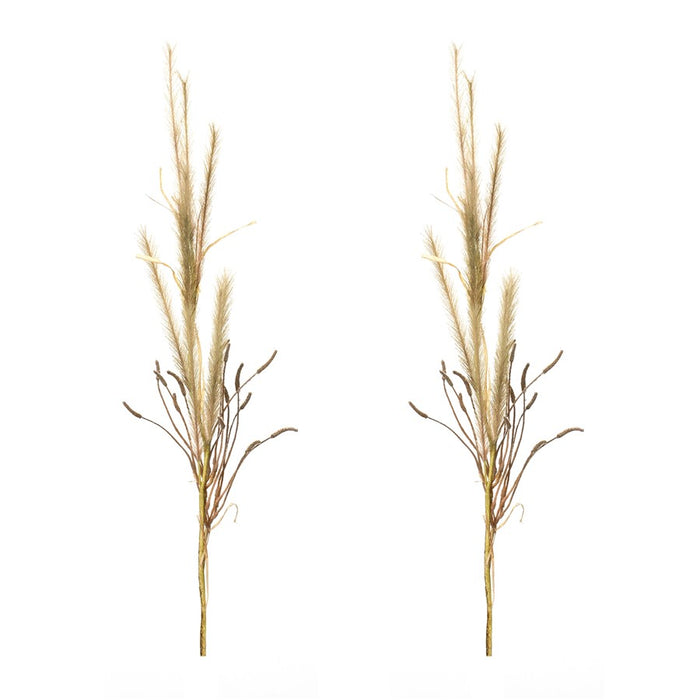 Melrose International Foxtail Grass Spray, Set of 2, Brown