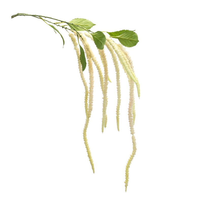 Melrose International Amaranthus Floral Stem, Set of 4, Green/White - 85645DS